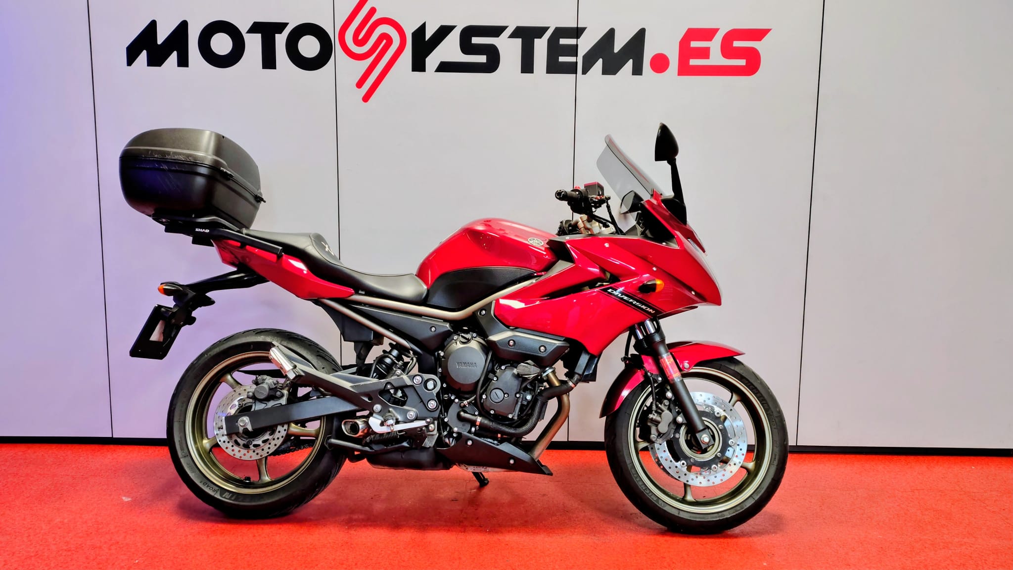 WhatsApp Image 2026-02-11 at 19.35.28 (6)